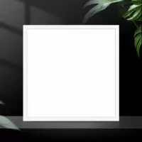 诚善 LED平面灯 30*30cm 吸顶灯 单位:个