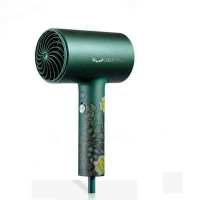 素士 电吹风 高浓度负离子速干 H5 梵高绿元