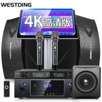 威斯汀影音系统 音箱家庭影院KTV音响 Q2升级版(三分频5单元)