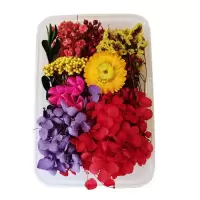 企业专享 友创 永生干花材料包 起订量40