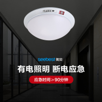 视贝Led声控感应应急灯12W