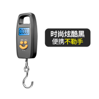 康宝水果携带弹簧秤电子称市随身挂钩