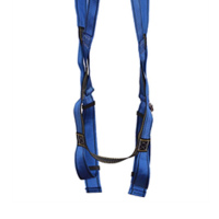 羿科 60816717 安全带 PN01