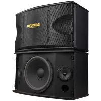 HYUNDAI现代 HY-215 流动演出音箱