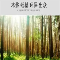 得力(deli) A3+白色封面纸