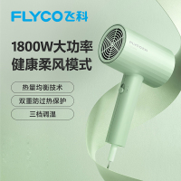 飞科(FLYCO)便携吹风机电吹风负离子家用宿舍学生大功率深度养发 FH6296