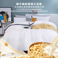 洁丽雅大豆纤维被子加厚磨毛被芯保暖空调被褥单双人棉被 宿舍
