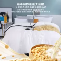 洁丽雅大豆纤维被子加厚磨毛被芯保暖空调被褥单双人棉被 宿舍