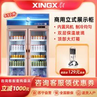 星星(XINGX) 650升 商用展示柜 超市冷藏柜 保鲜冰柜冷柜 便利店保鲜柜 双门饮料柜(金色) LSC-650E