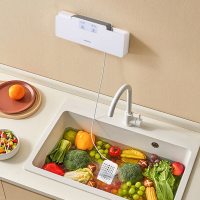 大宇(DAEWOO)果蔬食材清洁净化器 DY-JH01