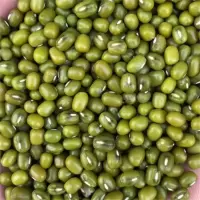 绿豆500g/一斤