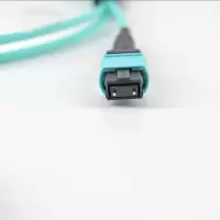 一业中信 低损圆缆OM3连接组件,用于楼宇建筑主干敷设以及近距离主干连接100G MPO-MTP-12