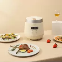 大宇 智能电饭煲 DYFB-206H