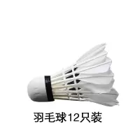 苏宁宜品推荐羽毛球12只装