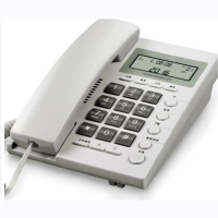得力(deli)电话机(个)