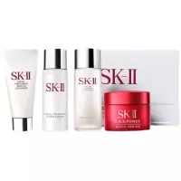 SK-II/SK2 面部护肤套装旅行四件套小样 