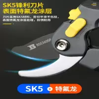 波斯BS536058 高档修枝剪 8