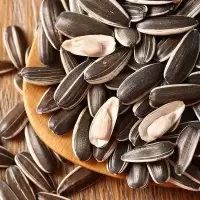 蛋壳小π五香新鲜大颗粒瓜子新鲜炒货5000g