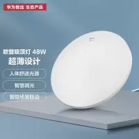 华为智选 智能吸顶灯 48W (主卧)