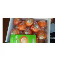 里下湖 水果礼盒拼装+橙子10斤
