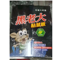 DAYUNHE 粘鼠板 贴沾胶抓灭鼠 家用/仓库用粘鼠板除害用品 10张装