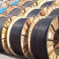 上上-铜芯电缆 输入输出主线缆 WDZCN-YJYR-0.6/1KV 1*240 一米