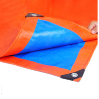 篷布 货车防晒加厚遮雨遮阳布 塑料pe雨棚 10x12m