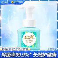 蓝月亮 泡沫抑菌洗手液255ml 长效抑菌99.9% 淡雅留香 泡沫绵密 儿童可用(鲜果薄荷香)