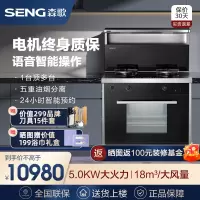 SENG/森歌 D3ZK-E 天猫精灵款 天然气集成灶家用触摸大火力蒸烤一体机侧吸下排