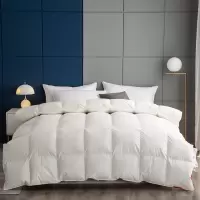 博洋家纺(Beyond Home Textile) 艾米纯静鹅绒被