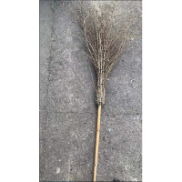 绿爽 环卫大扫把 竹马路扫竹子 户外 竹扫把