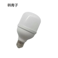 韩青子 灯泡 LED 25W
