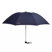 天堂伞  307碰