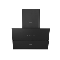 樱雪吸油烟机CXW-218-C2107(B)