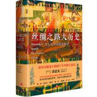 丝绸之路大历史 当古代中国遭遇世界_2022b999400