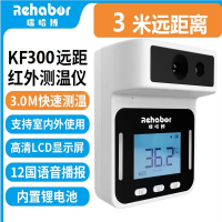 瑞哈博测温仪 3米测温 KF300 充电便捷 单个价