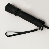 东之胜(DONGZHISHENG) 便携式多功能强光电筒