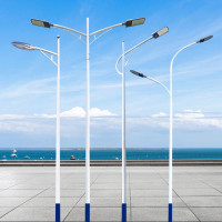 玉麒麟 路灯 BY-250W 250w 单灯头 (含灯头 12米灯杆)(套)