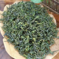 时怡(Smart Time)日照绿茶浓香炒青春茶栗香高山净含量 250g*2