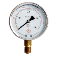 耐震压力表 Φ100 M20×1.5 0-40MPa 轴向偏心前边盘装 货期5-10天