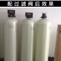 Brangdy阀头 玻璃钢过滤罐1650NP 每套