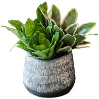 掬涵 雪巢艺术风格花瓶花盆花器装饰摆件几何创意粗陶土瓷复古