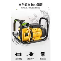 Fluidworks大流量灌溉泵 自吸泵 高扬程离心泵 220V CM-006