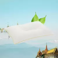 妮泰雅泰国进口天然皇家乳胶枕头护颈枕透气平衡防鼾雪花枕防螨A