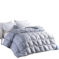 芳恩(faunen) FN-B478 立体轻羽绒被 200×230cm 被重2700g灰色