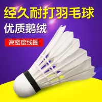 鑫亿康羽毛球拍羽毛球套装DL-200羽毛球12只装套装