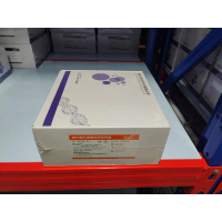 迈瑞(mindray) 肠杆菌科细菌检测试剂盒(单位:10检测/盒)