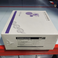 迈瑞(mindray) 非发酵菌检测试剂盒TDR NF-96 (单位:10检测/盒)