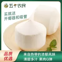 (疫情原因暂时停发)五个农民泰国椰青原箱4个精品大果(900g-1100g)新鲜水果当季椰子香椰香水椰青生鲜自营应季水果