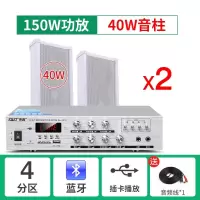 先科(SAST) 户外防水音柱壁挂音响蓝牙功放